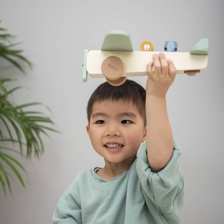 avion animaux en bois avec enfant