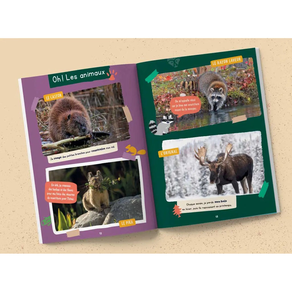 carnet de voyage les mini mondes au canada de l'ouest