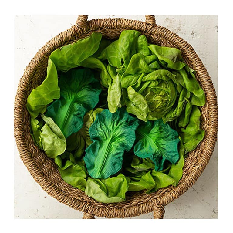 jouet dentition chou avec des vrais