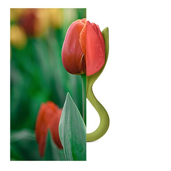jouet de dentition theo la tulipe avec moitié vrai fleur