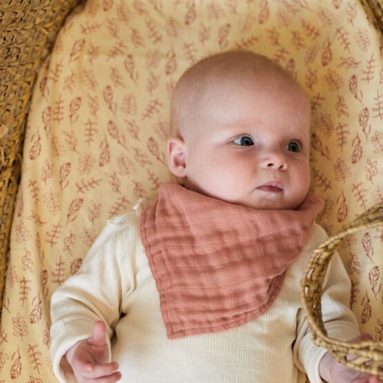 Optez pour ce joli lot de bavoirs bandanas couleur bois de rose JOLLEIN afin de permettre à bébé de rester au sec !