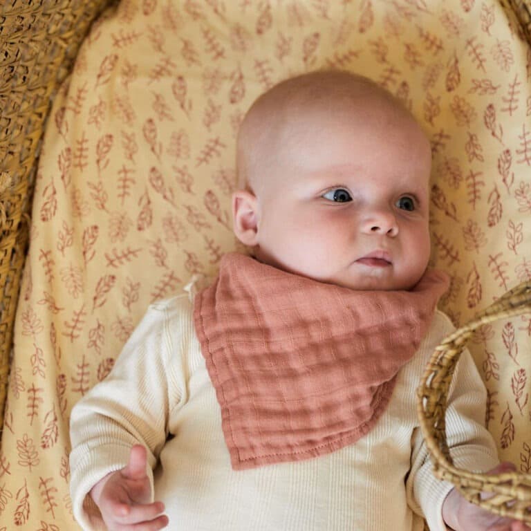 Optez pour ce joli lot de bavoirs bandanas couleur bois de rose JOLLEIN afin de permettre à bébé de rester au sec !