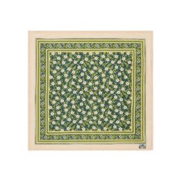 foulard bonton chichi fond blanc