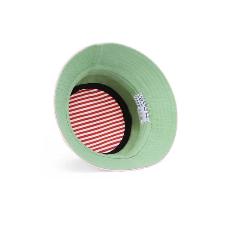 Bob vue de dessous sur fond blanc