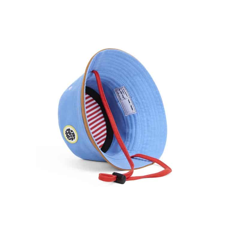 Bob vue de dessous sur fond blanc