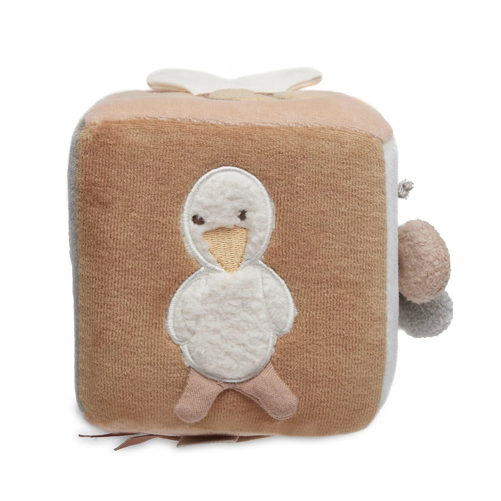 face canard