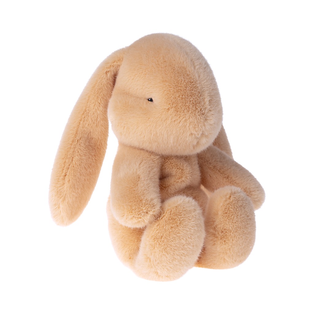 lapin corail