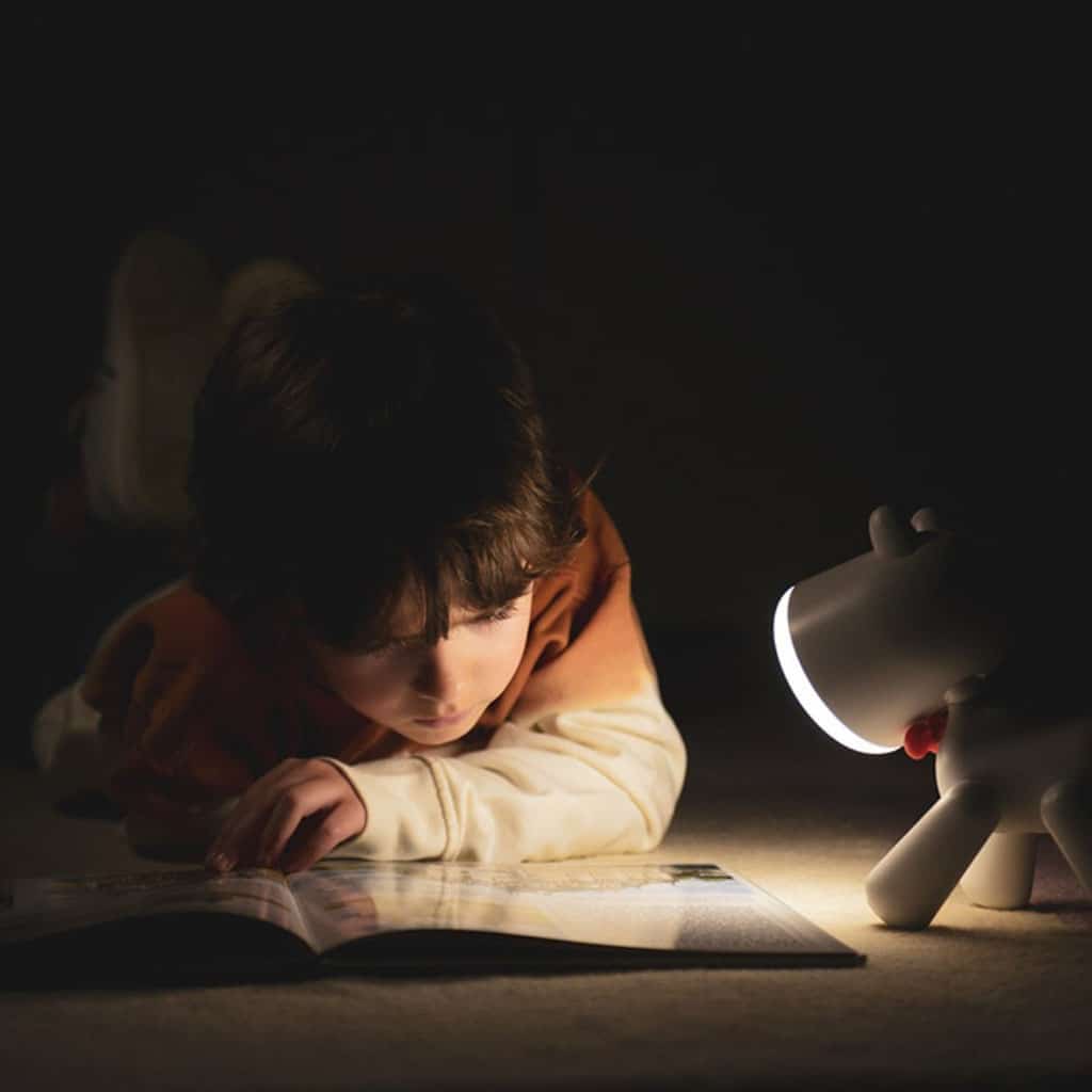 Lampe de chevet ou de bureau kidywolf