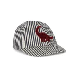 casquette dinosaure rayé vue profil konges