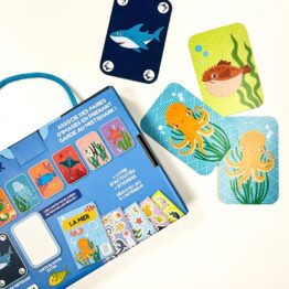 Jeu mistishark et activités sassi junior