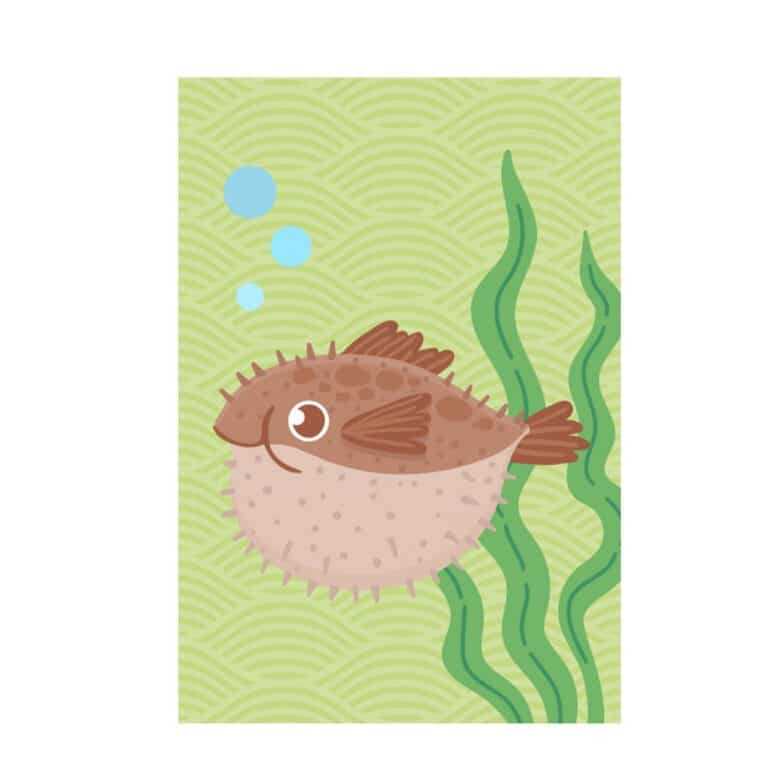 Jeu mistishark et activités sassi junior