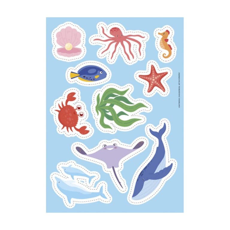 Jeu mistishark et activités sassi junior