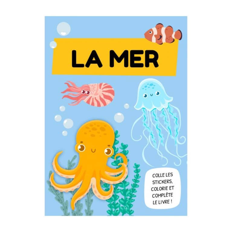 Jeu mistishark et activités sassi junior