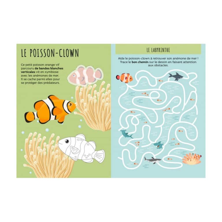 Jeu mistishark et activités sassi junior