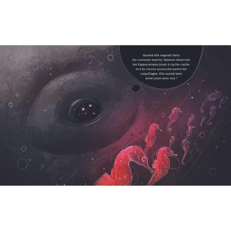 Livre la baleine qui se prenait pour un poisson sassi junior