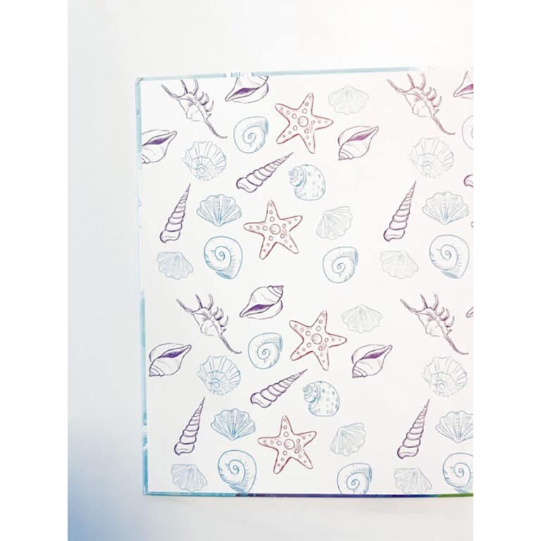 Livre la baleine qui se prenait pour un poisson sassi junior