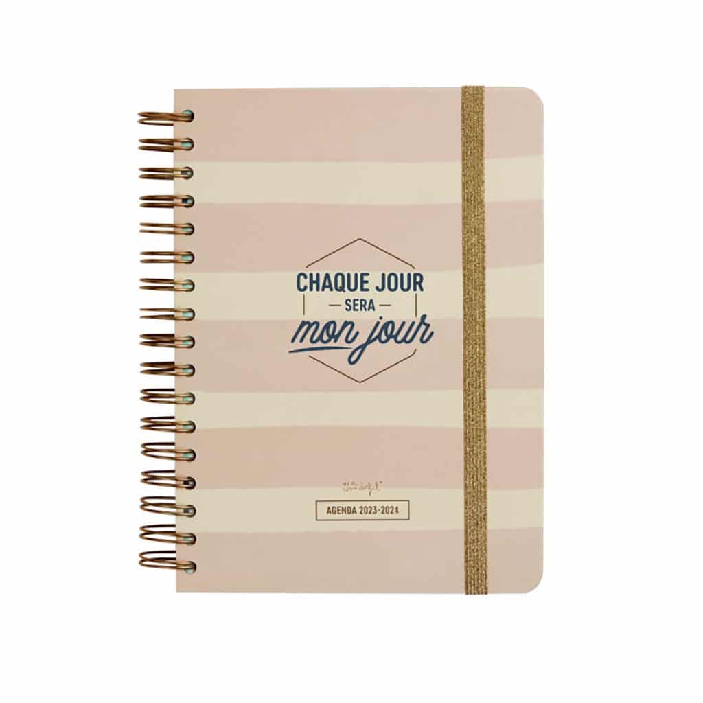 Agenda Journalier 2023-2024 - Rose - Chaque Jour Sera Mon Jour - Mr  Wonderful - Little marmaille