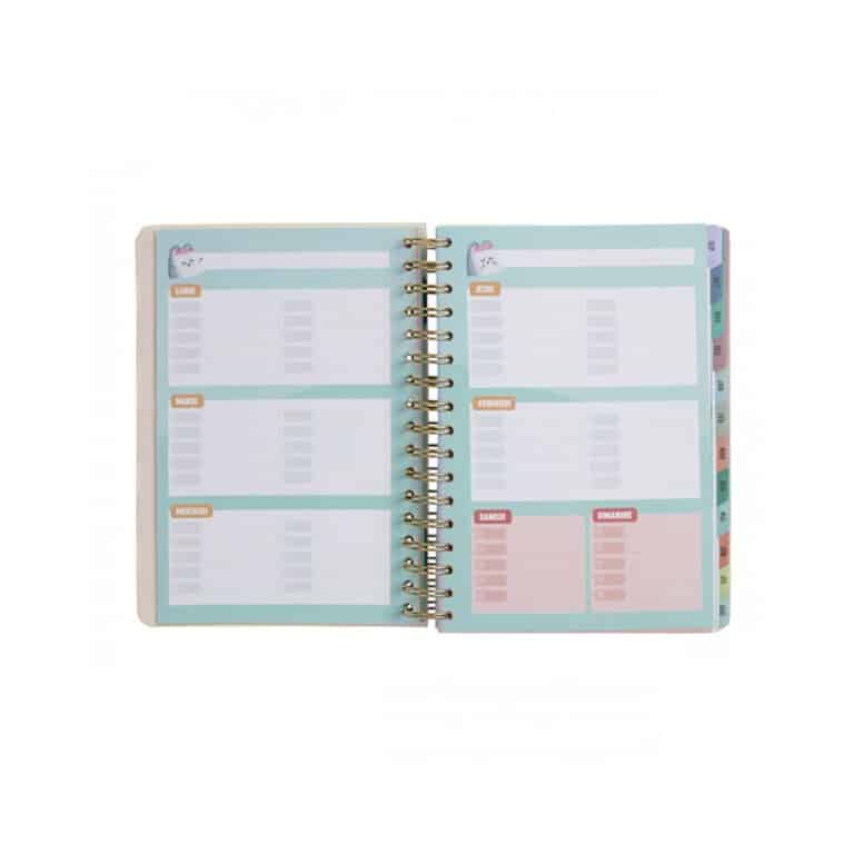 agenda mr wonderful sur fond blanc