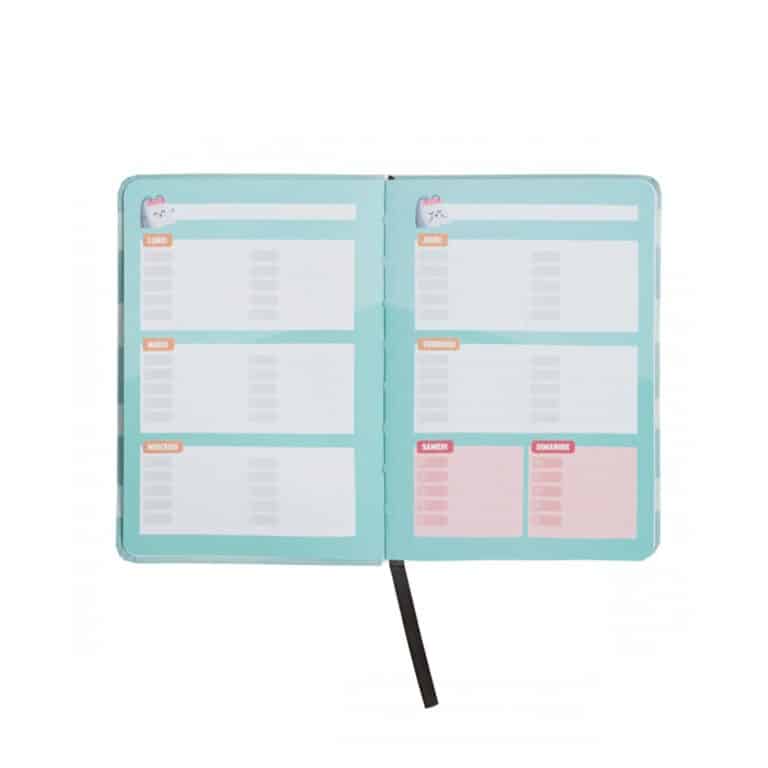 petit agenda mr wonderful sur fond blanc