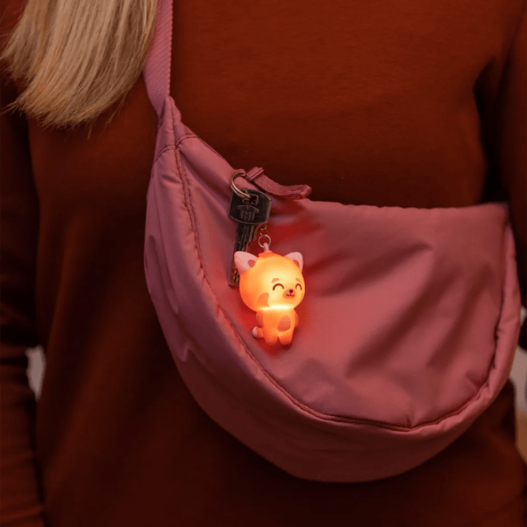 mr-wonderful_porte-clé-lumineux-panda-roux5