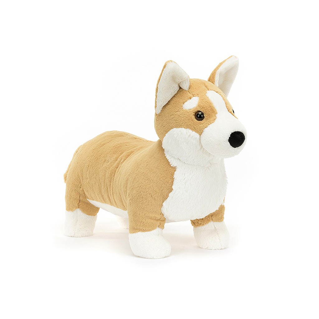 grand chien corgi jellycat sur fond blancPetit chien corgi jellycat sur fond blanc