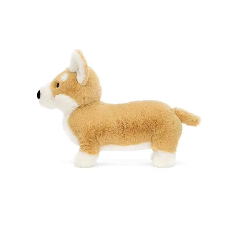 grand chien corgi jellycat sur fond blancPetit chien corgi jellycat sur fond blanc