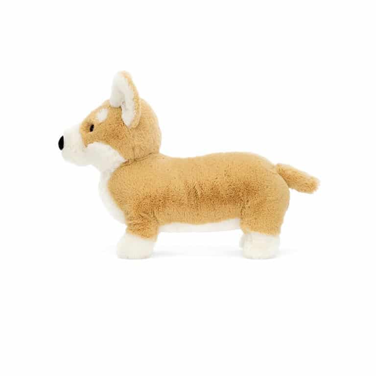 Petit chien corgi jellycat sur fond blanc