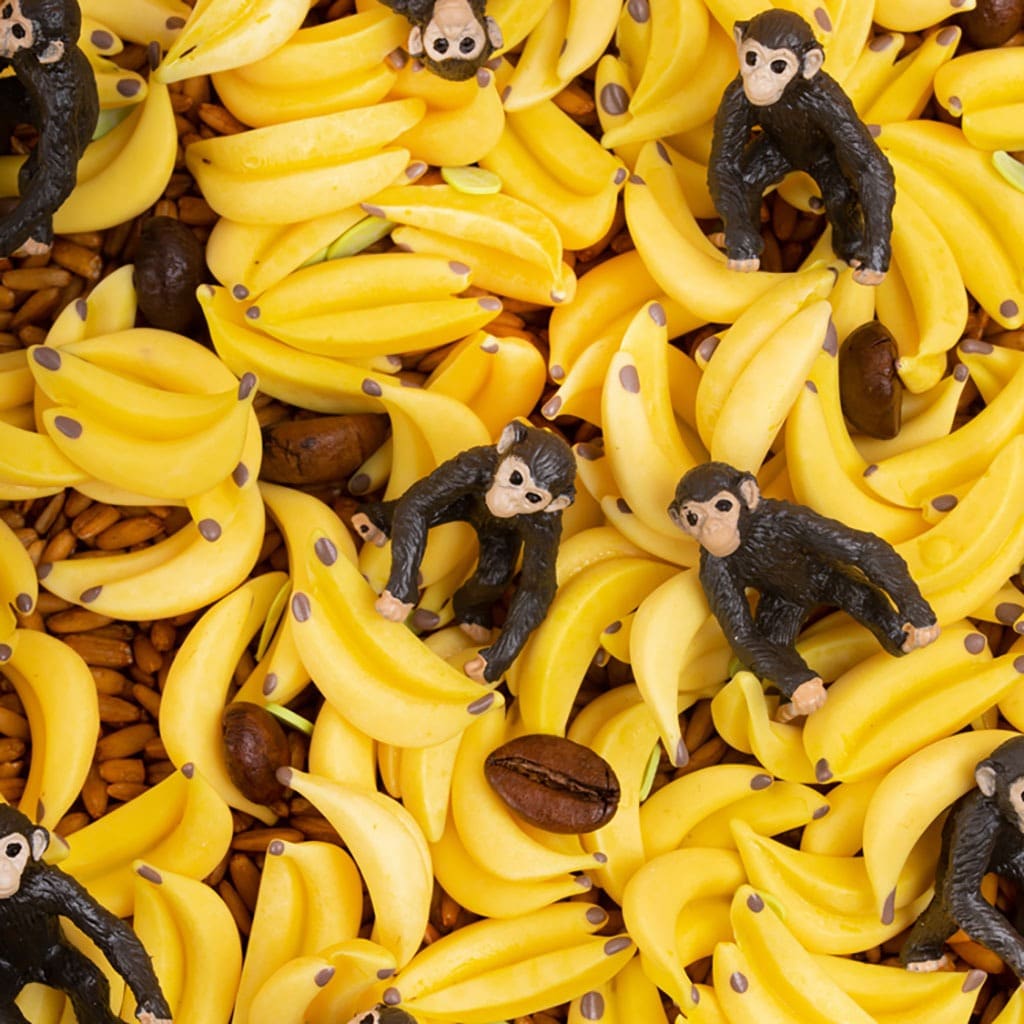 une bouteille sensorielle singe, ambiance