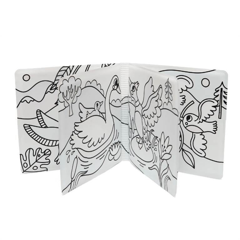 un livre de bain magique sur les oiseaux avec un canard et un signe, vue de face sur fond blanc