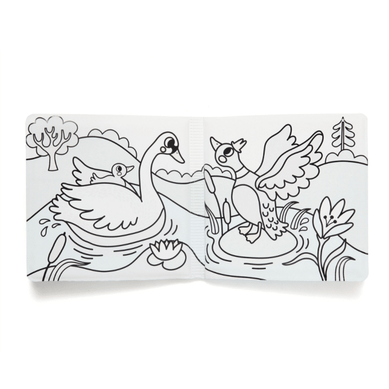 un livre de bain magique sur les oiseaux avec un canard et un signe, vue de face sur fond blanc