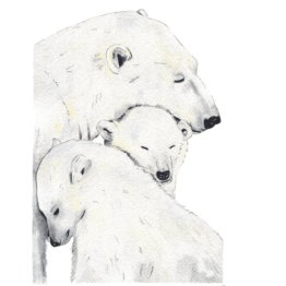 une affiche A4 famille ours Les aquarelles de Marlène, vue de face sur fond blanc