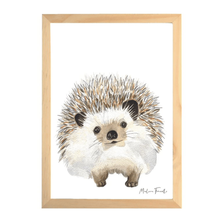 une affiche A4 hérisson Les Aquarelle de Marlène, vue de face sur fond blanc