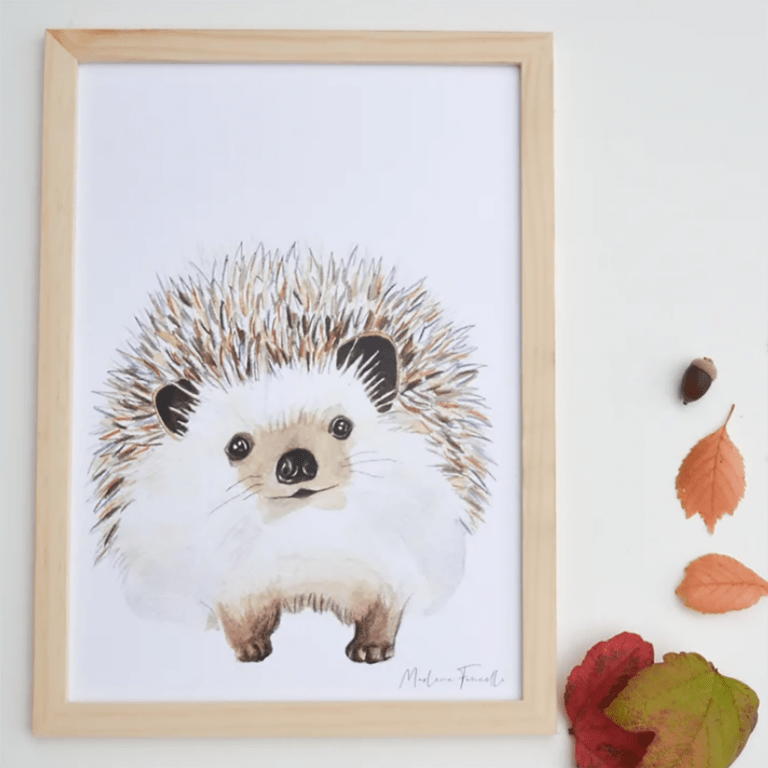 une affiche A4 hérisson Les Aquarelle de Marlène, ambiance