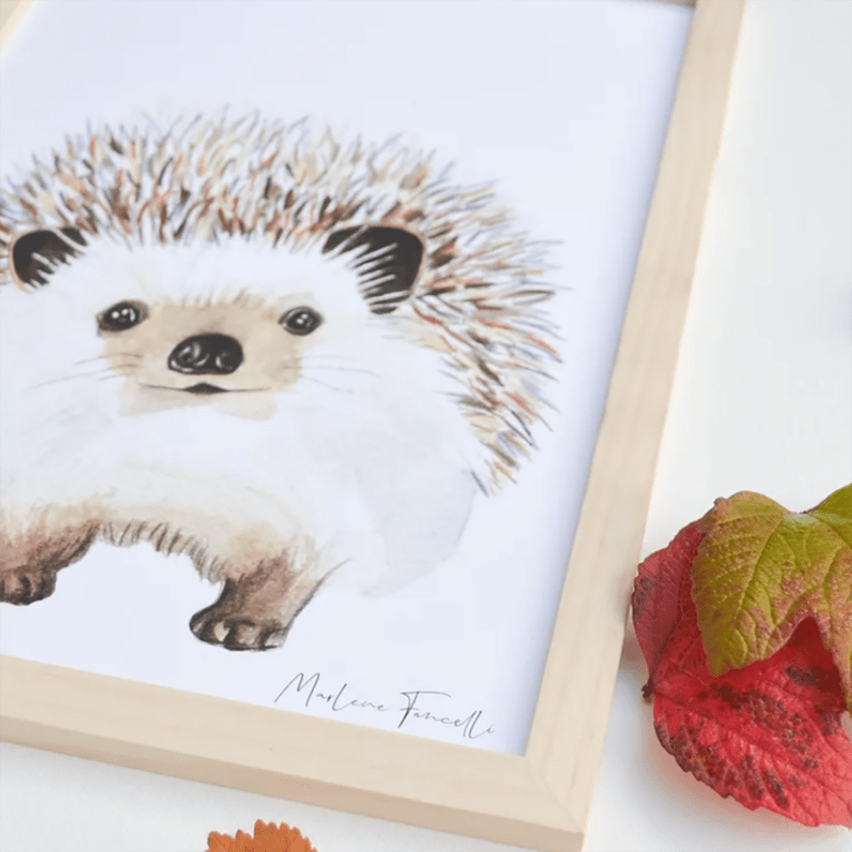 Aquarelle-de-marlène_affiche-hérisson4