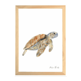 une affiche A4 tortue Les Aquarelles de Marlène, vue de face sur fond blanc