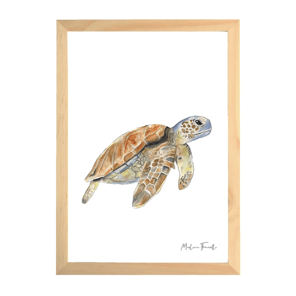 une affiche A4 tortue Les Aquarelles de Marlène, vue de face sur fond blanc