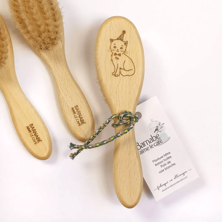 brosse à cheveux chat barnabé aime le café brosse vue de haut sur fond blanc