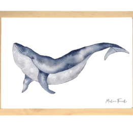 une affiche A4 baleine Les Aquarelle de Marlène, vue de face sur fond blanc
