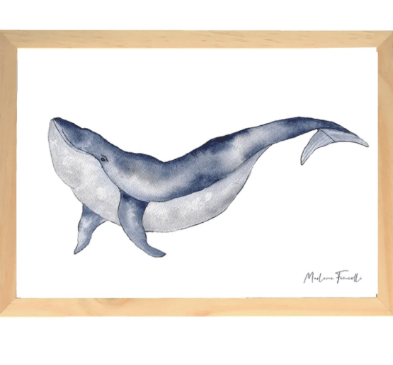 une affiche A4 baleine Les Aquarelle de Marlène, vue de face sur fond blanc