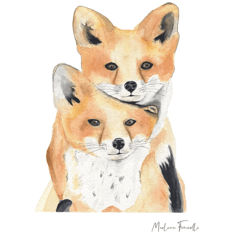 une affiche A4 renardeaux Les Aquarelle de Marlène, vue de face sur fond blanc