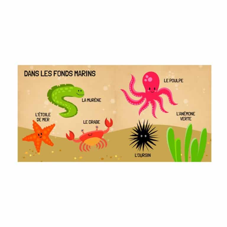 livre et puzzle apprends les mots de la mer sassi détail livre animaux de la mer sur fond blanc