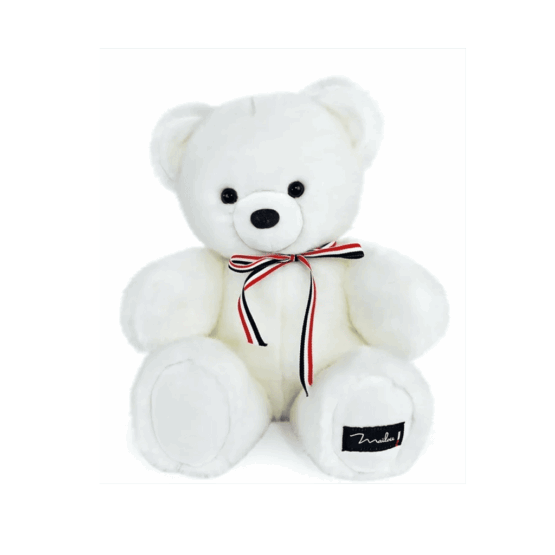 un ours blanc Maïlou, vue de face sur fond blanc