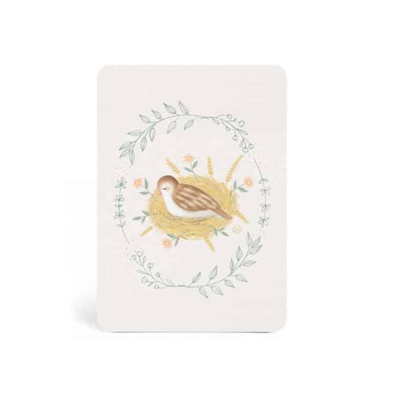 carte postale oiseau zÜ