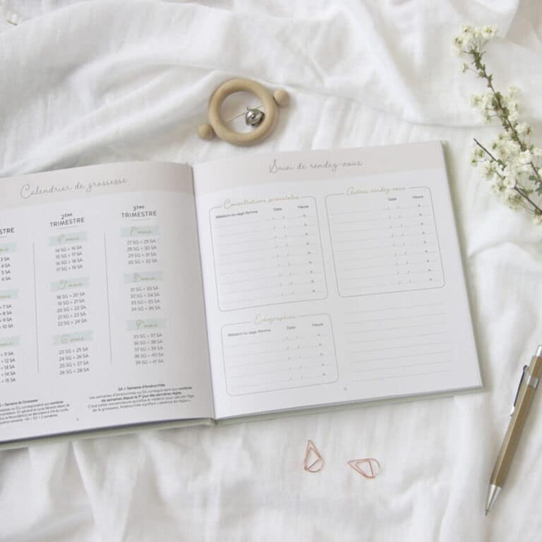 Journal de grossesse zü