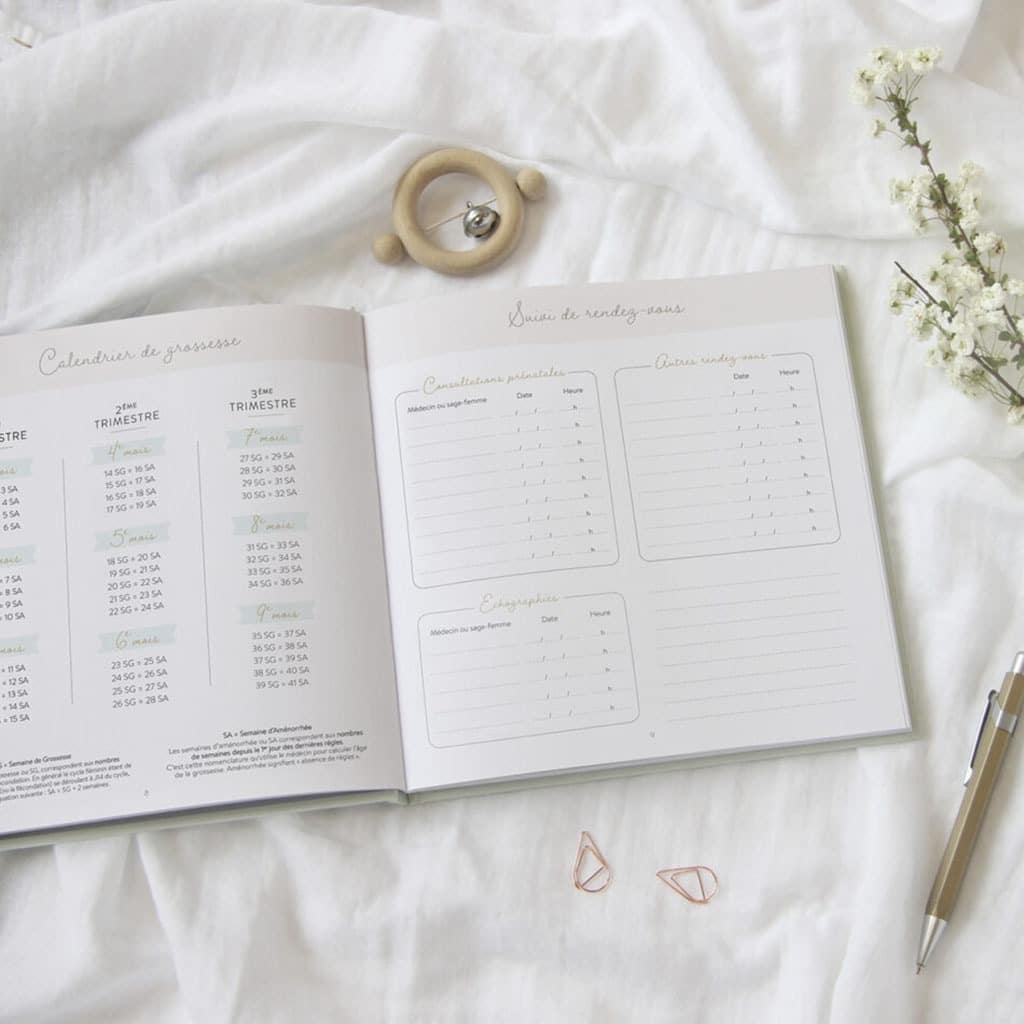 Journal de grossesse zü