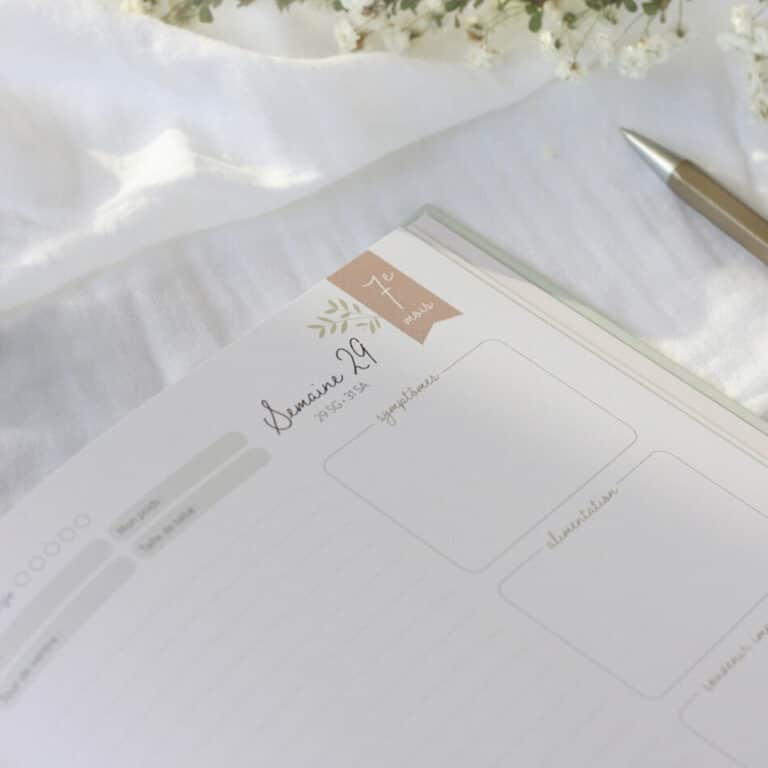 Journal de grossesse zü