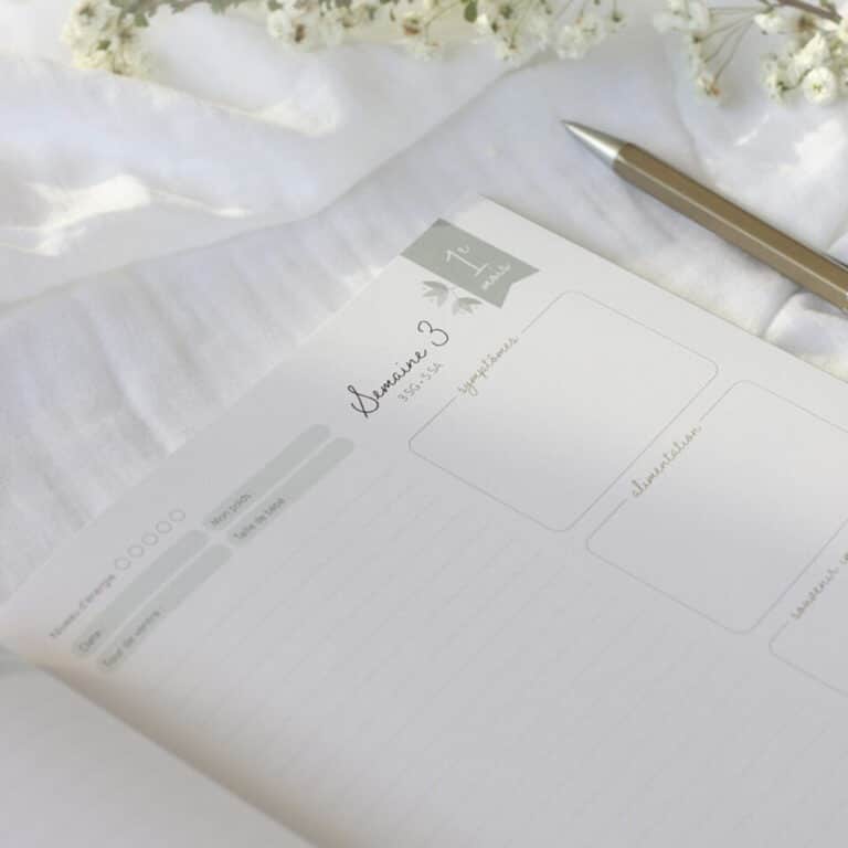 Journal de grossesse zü