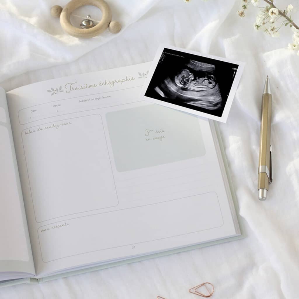Journal de grossesse zü