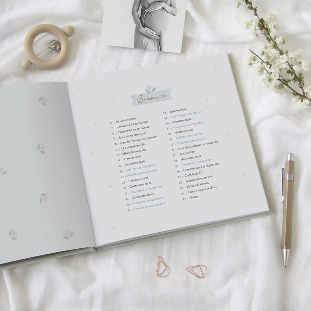 Journal de grossesse zü