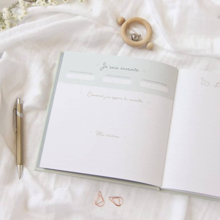 Journal de grossesse zü